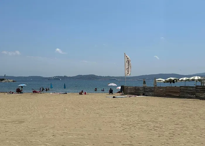 Tres Beau 3 Pieces, Piscine, 500M Des Plages A Ste Maxime